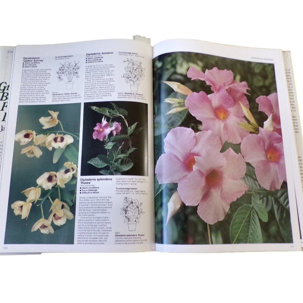 Growing Beautiful Flowers Indoors Book by Jack Kramer - Picture 2 of 4